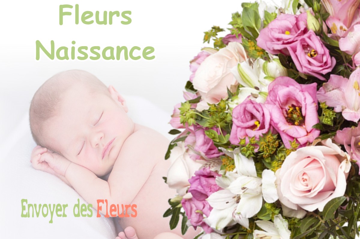 lIVRAISON FLEURS NAISSANCE à BELLEGARDE